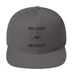 Snapback Hat  "Holy Spirit"