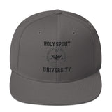 Snapback Hat  "Holy Spirit"