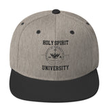 Snapback Hat  "Holy Spirit"