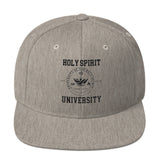 Snapback Hat  "Holy Spirit"