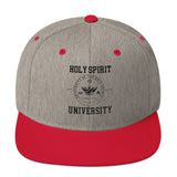 Snapback Hat  "Holy Spirit"