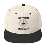 Snapback Hat  "Holy Spirit"