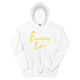 Unisex "Joy of The Lord" Hoodie